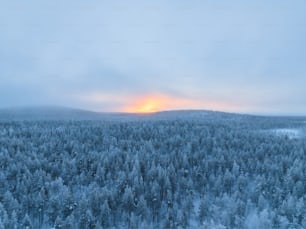 the sun is setting over a snowy forest