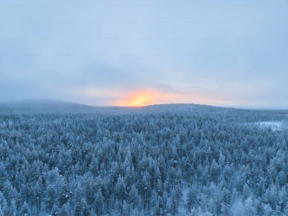 Die Sonne geht über einem verschneiten Wald unter