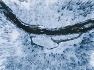 ein Fluss, der durch einen schneebedeckten Wald fließt