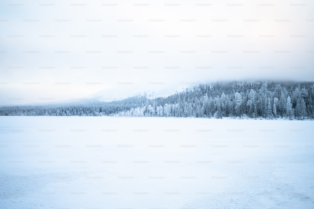 ein großes Gewässer, umgeben von schneebedeckten Bäumen