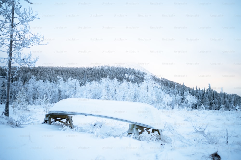 a snow covered bench sitting in the middle of a forest