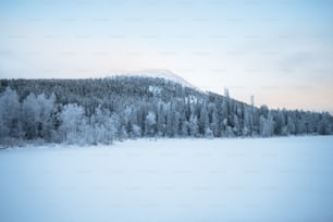 a snowy landscape with trees and a mountain in the background