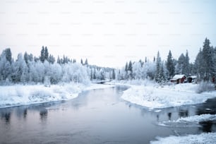雪に覆われた森の中を流れる川