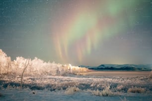 a green and purple aurora bore is in the sky