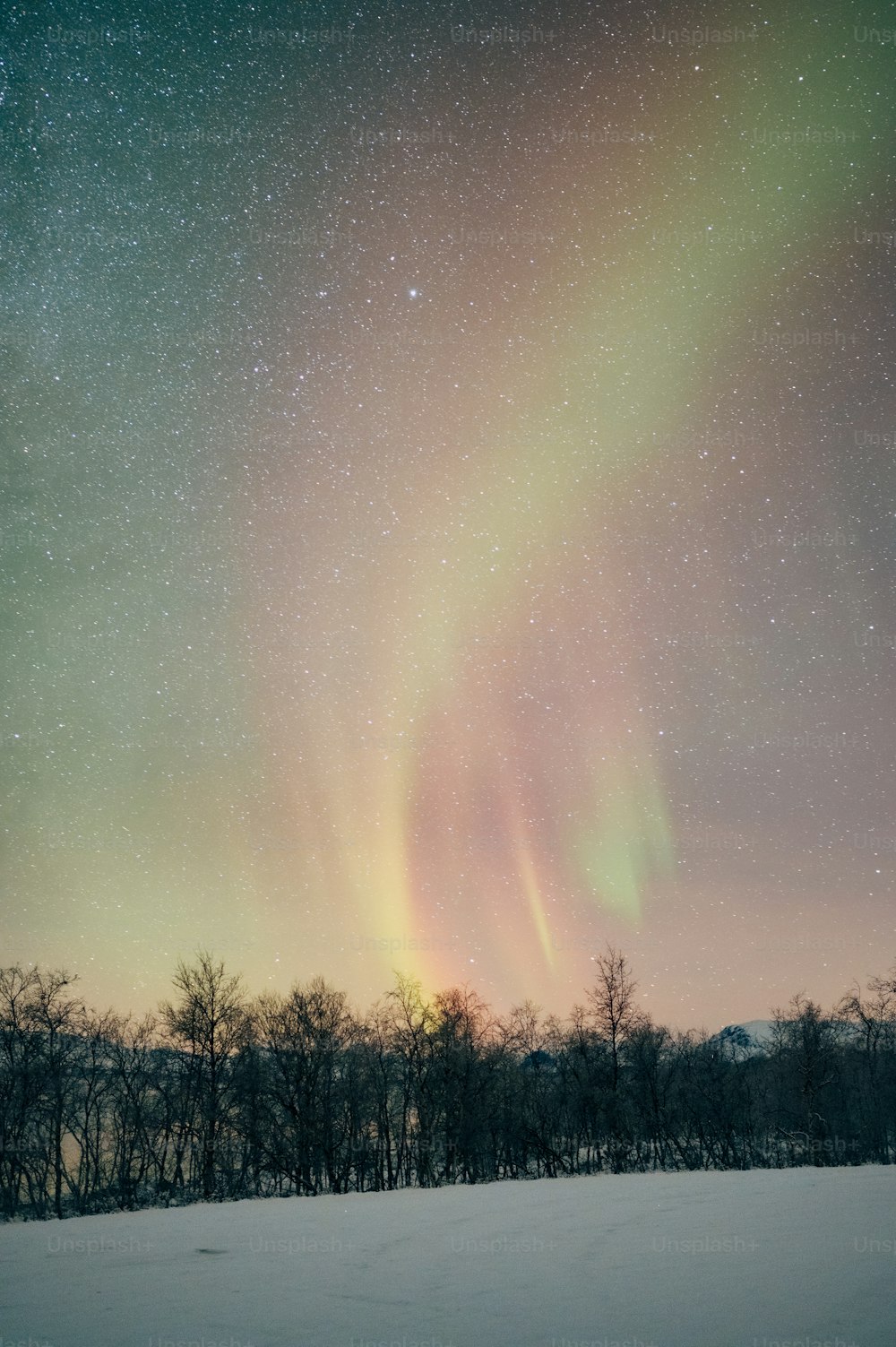 Die Aurora erhob sich am Himmel über ein schneebedecktes Feld