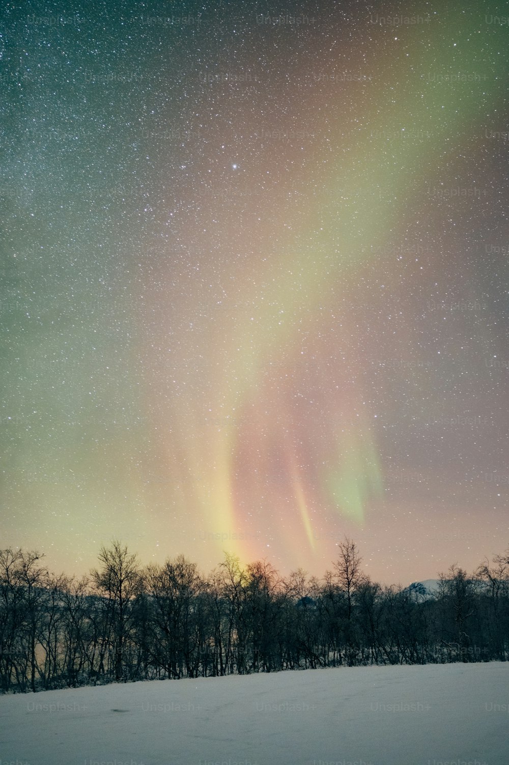 La aurora perforó el cielo sobre un campo cubierto de nieve