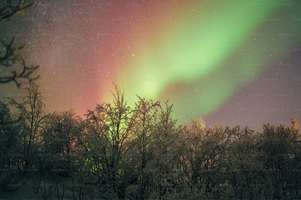 a green and red aurora bore is in the sky