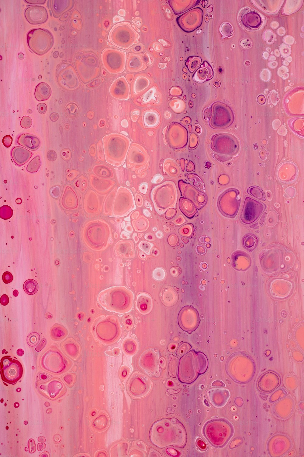 a close up of a pink background with bubbles