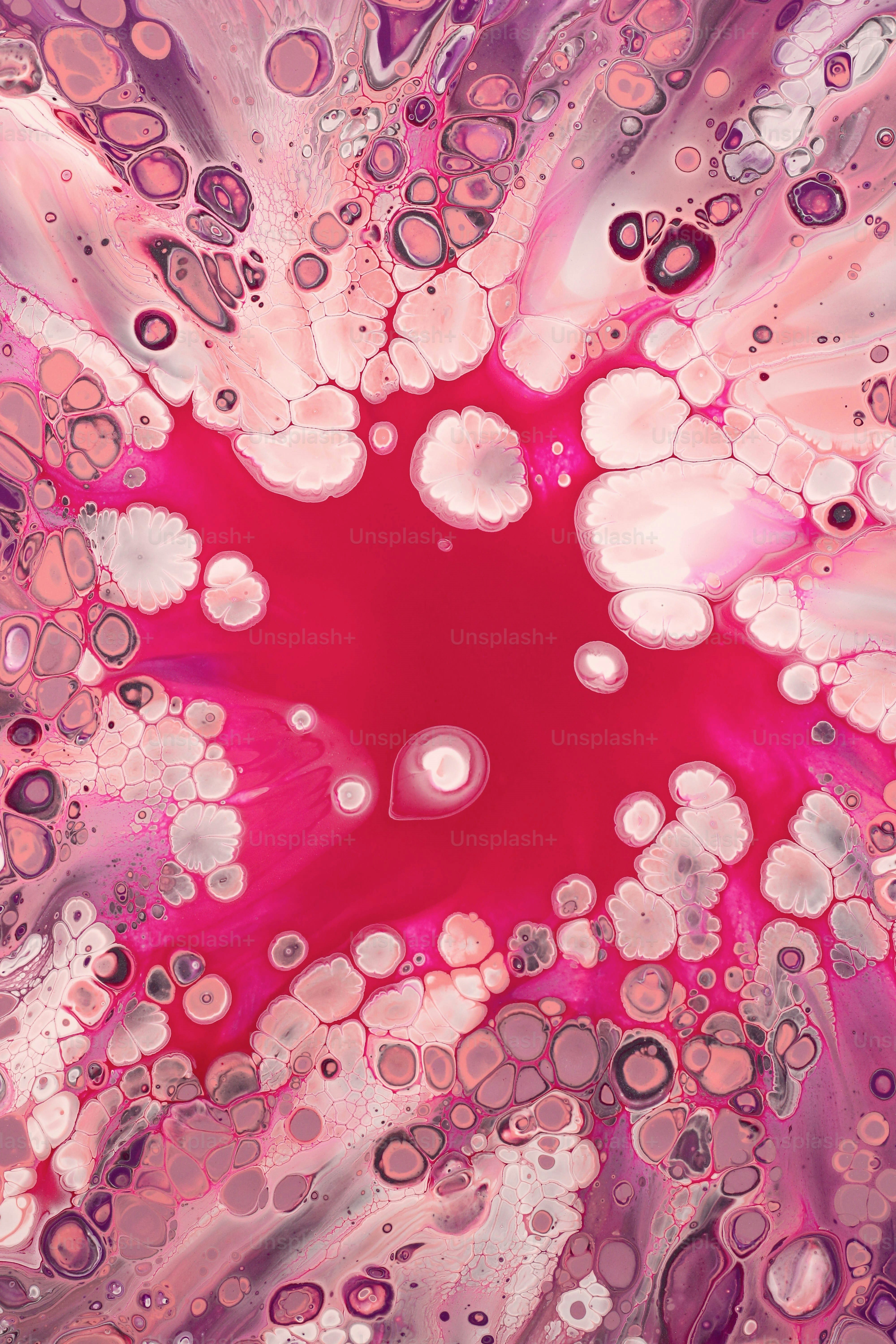 Eine Nahaufnahme einer rosa-weißen Blume