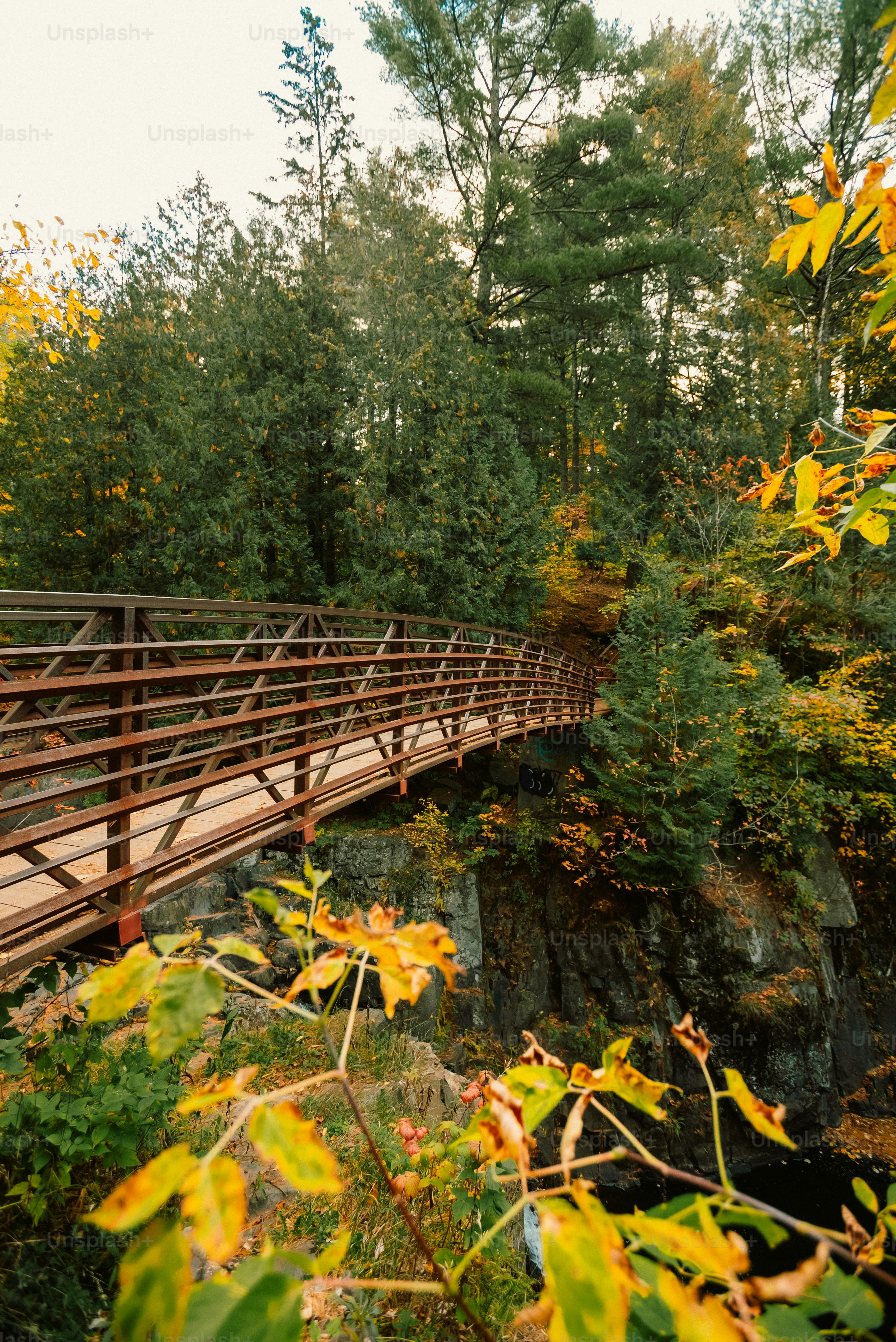 a wooden bridge over a river surrounded by trees