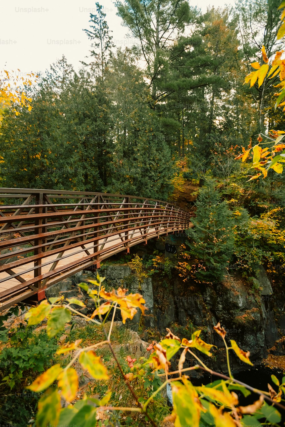 Un puente de madera sobre un río rodeado de árboles