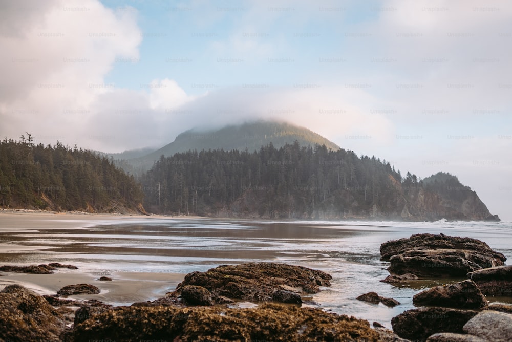 a beach with a mountain in the background