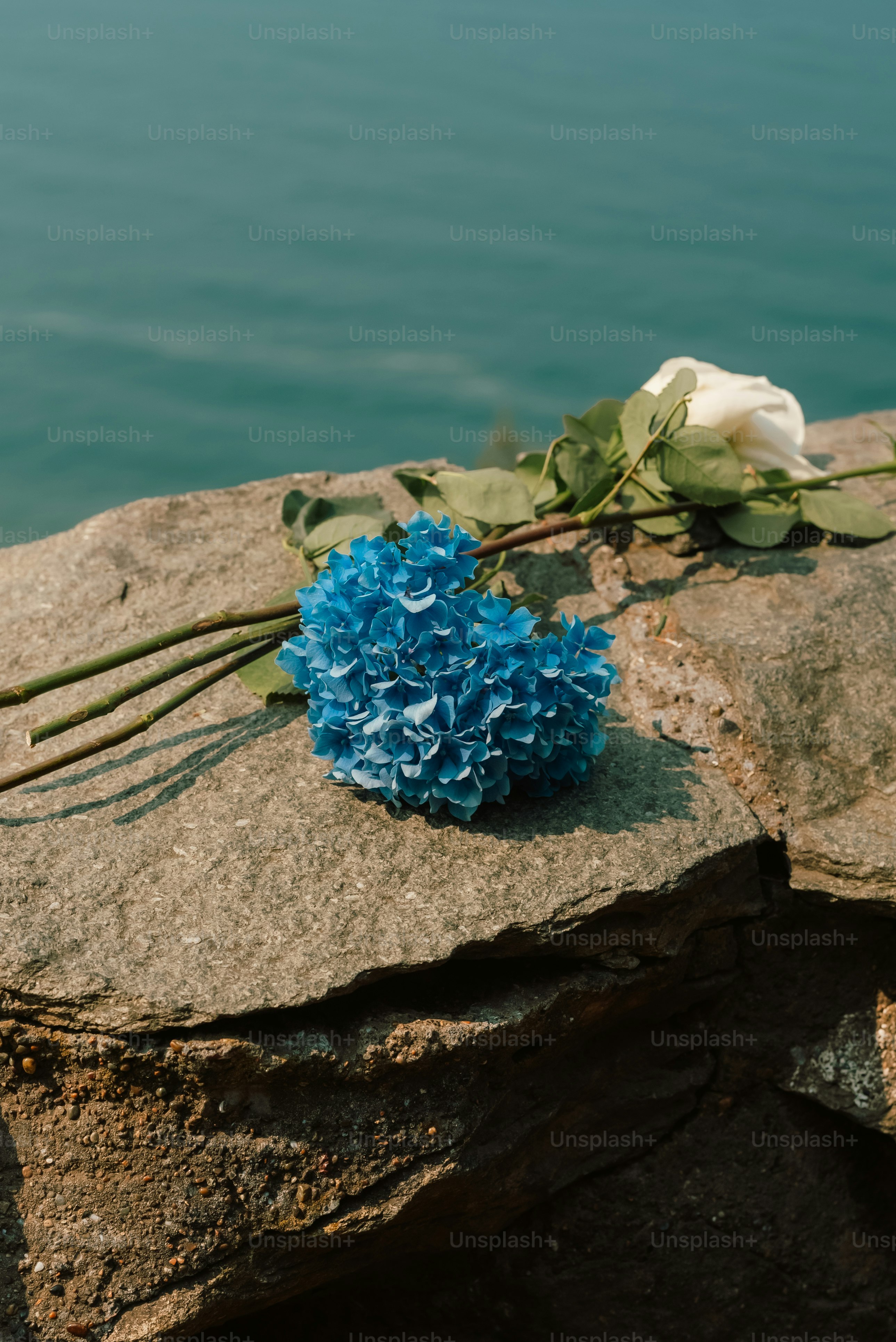 un mazzo di fiori blu e bianchi seduti su una roccia