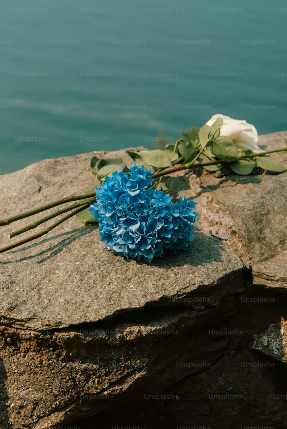 a bouquet of blue and white flowers sitting on a rock