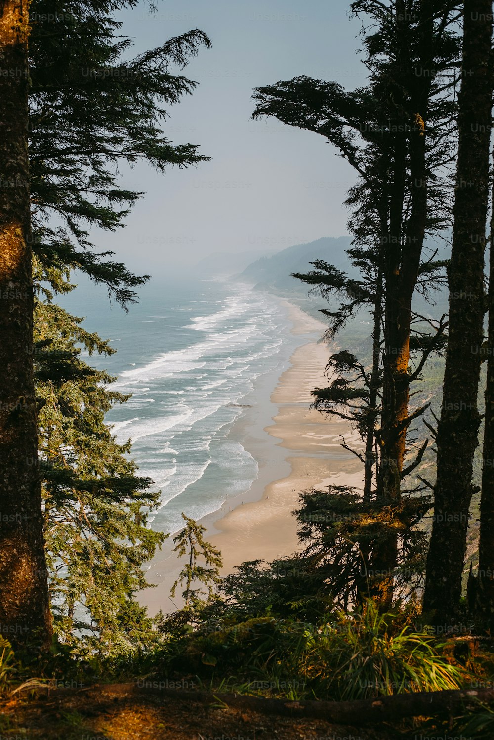 a view of a beach through some trees