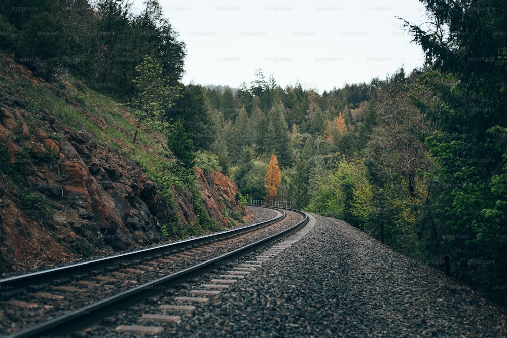 a train track running through a wooded area