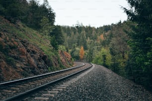 a train track running through a wooded area