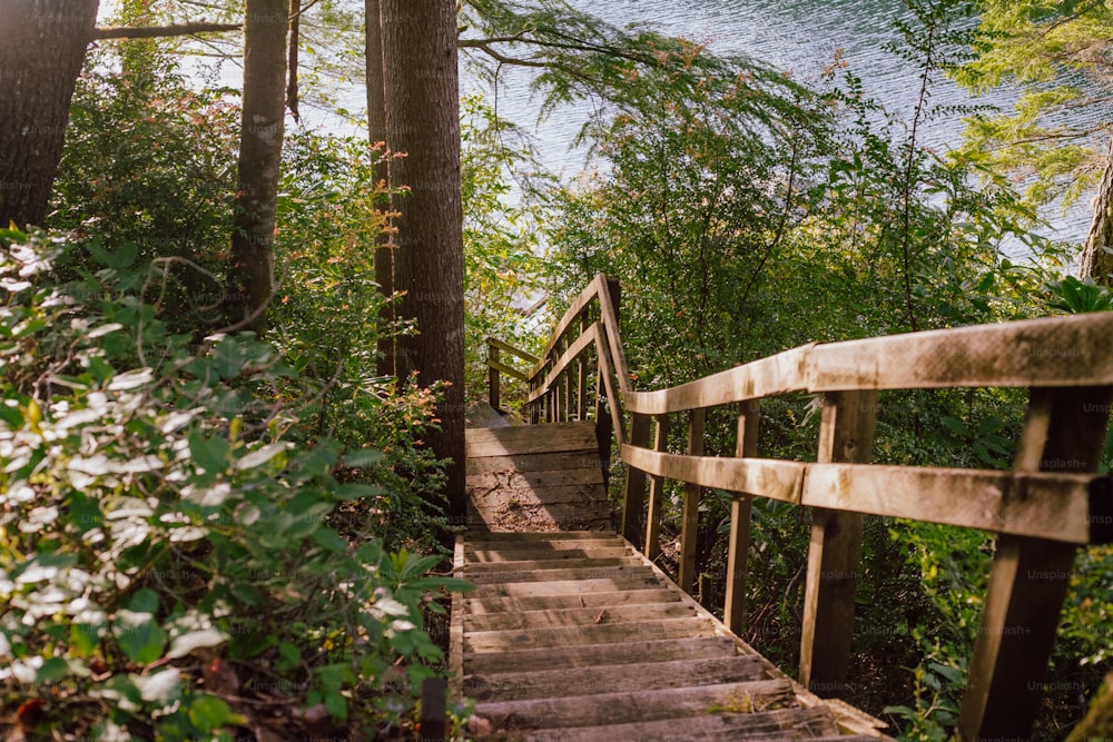 un escalier menant à un plan d’eau