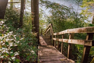 a set of stairs leading up to a body of water