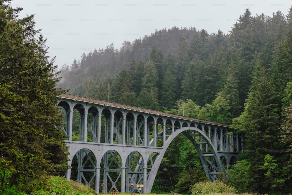 a bridge over a river surrounded by trees