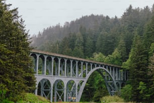 a bridge over a river surrounded by trees