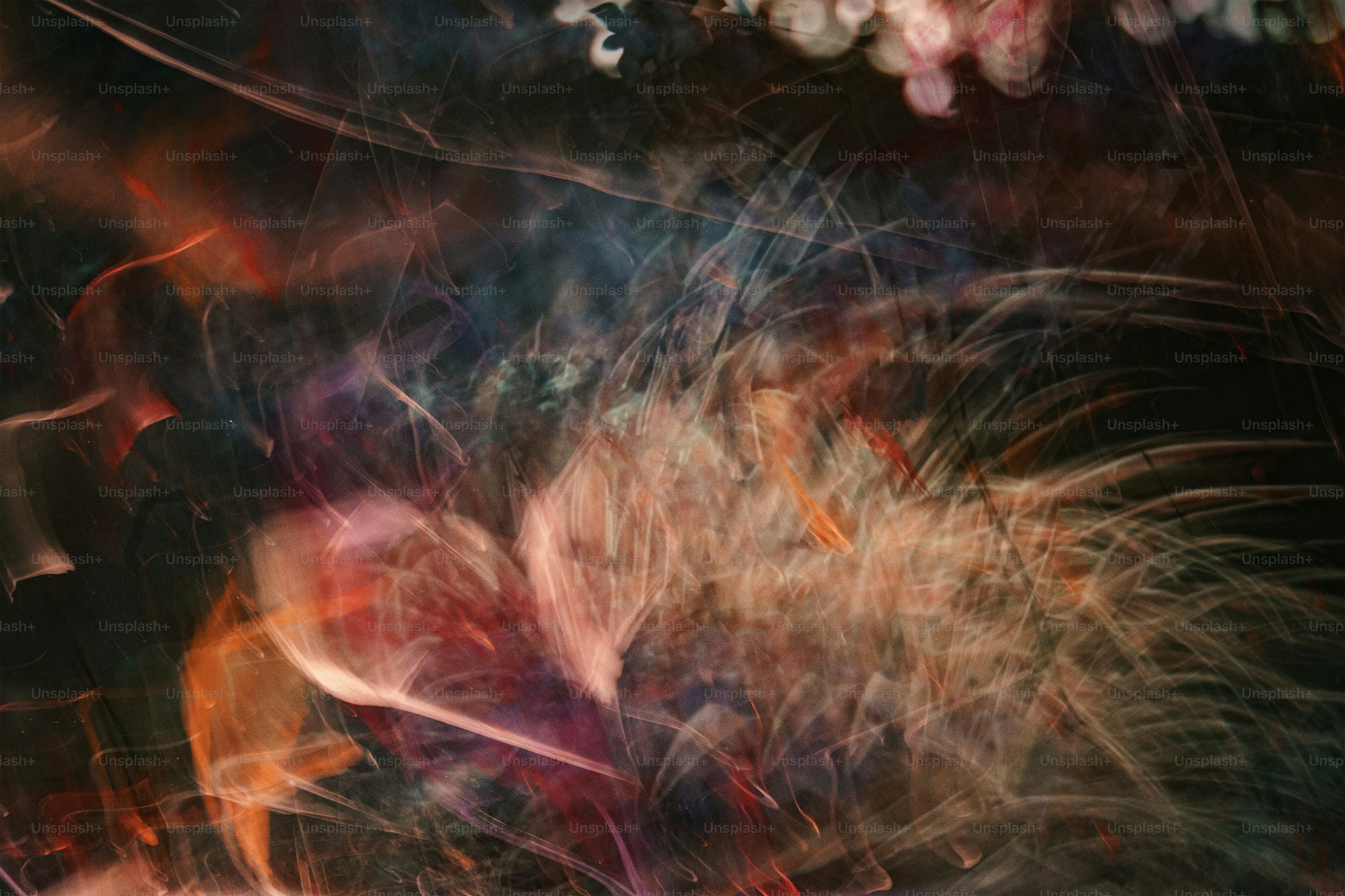 a blurry photo of a bunch of flowers