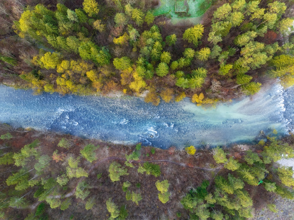 an aerial view of a river surrounded by trees