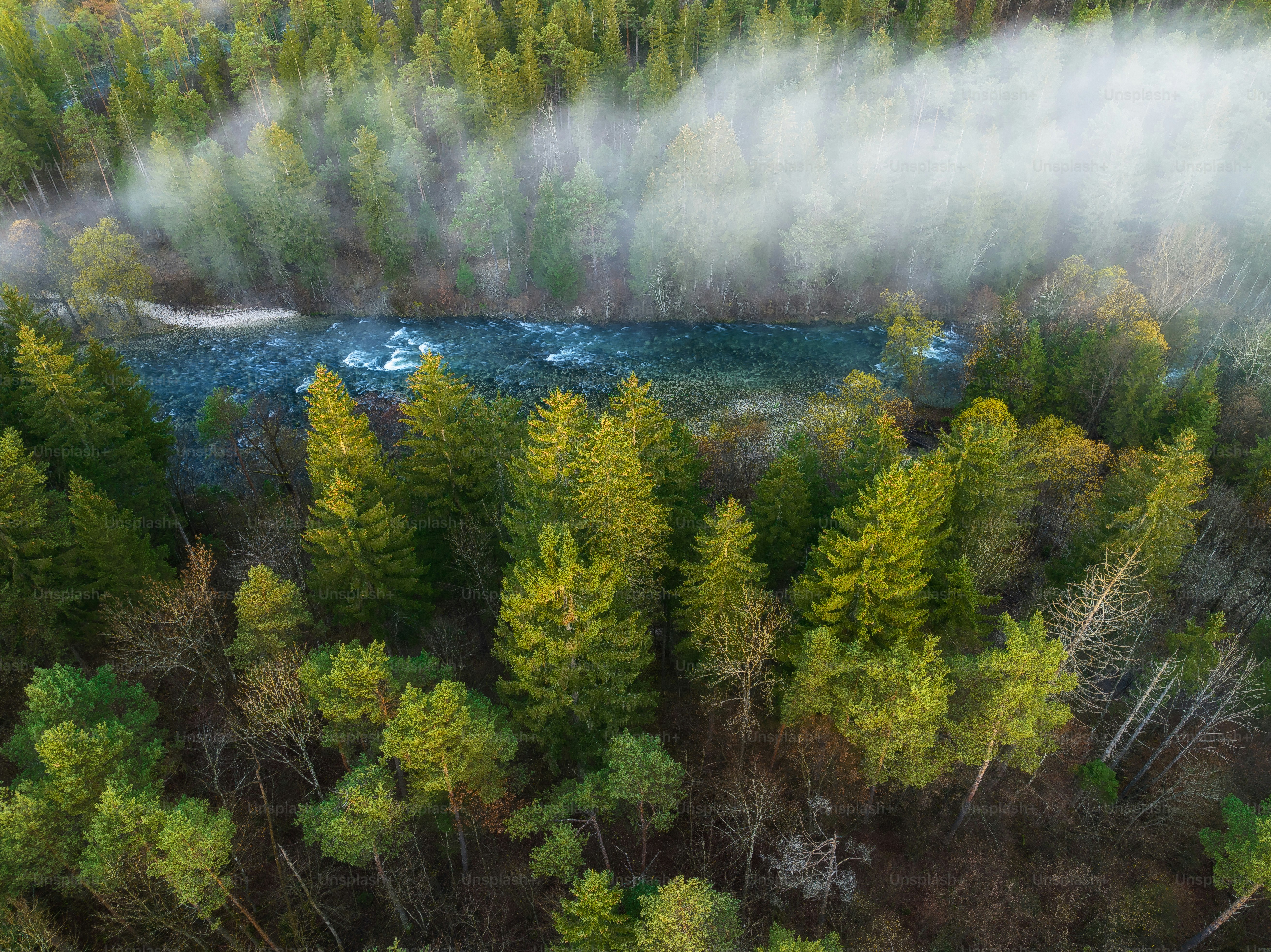 An aerial view of a river surrounded by trees photo – Image on Unsplash