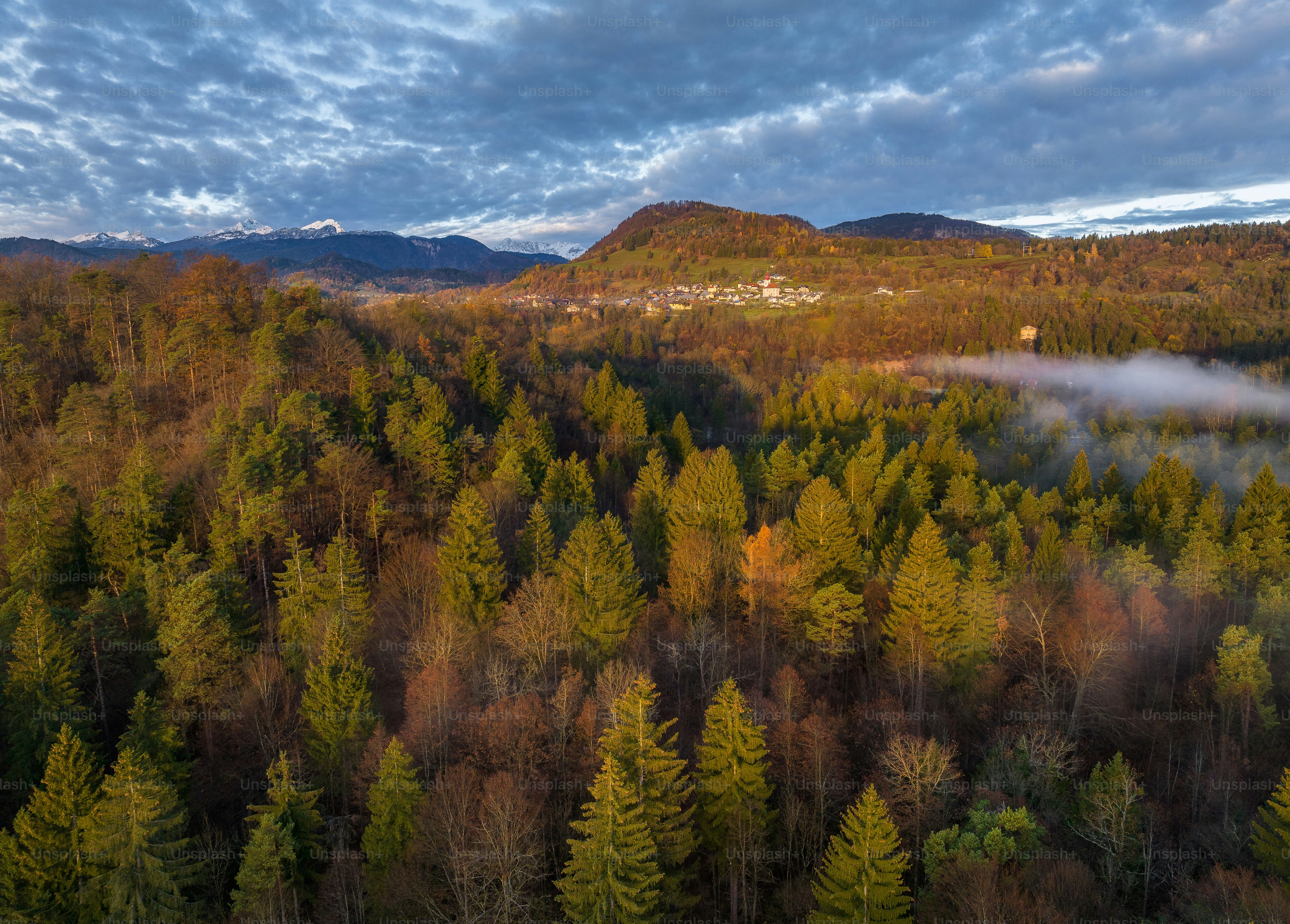 An aerial view of a forest with mountains in the background photo ...