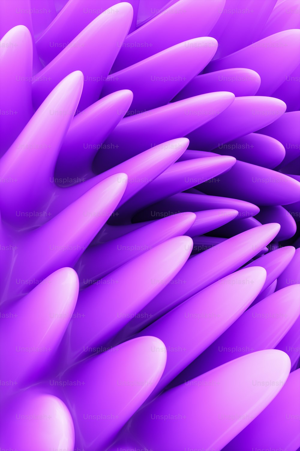 Una vista de cerca de una flor púrpura