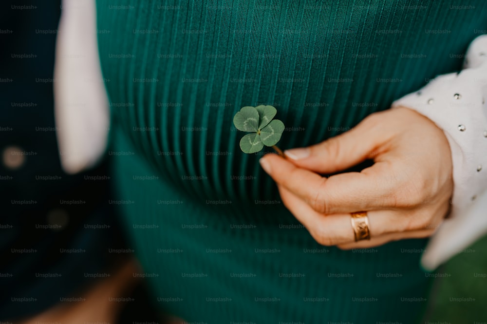 a close up of a person holding a clover