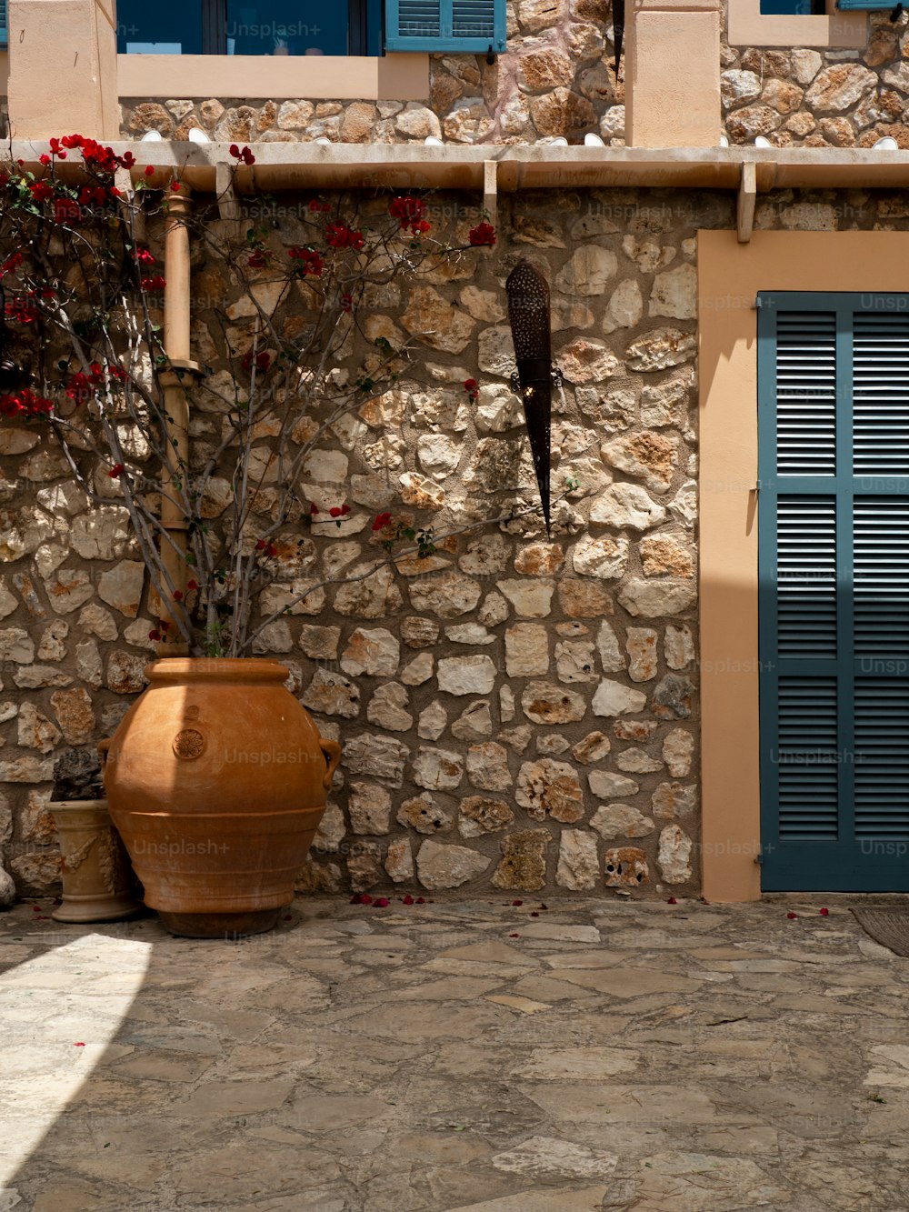 a stone building with blue shutters and a potted plant