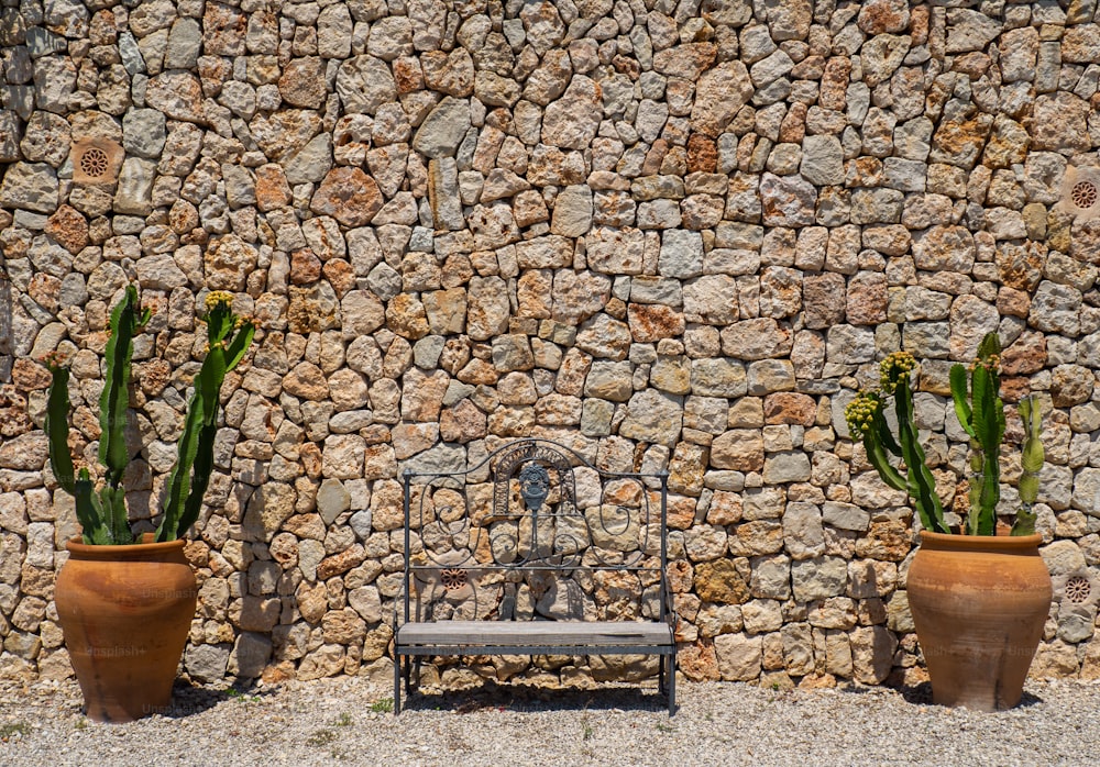 una panchina seduta accanto a due grandi piante in vaso