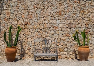 una panchina seduta accanto a due grandi piante in vaso