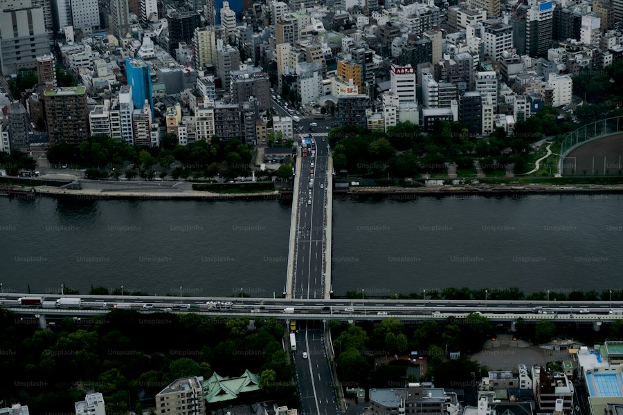 Most Populated Cities in the World: Megacities With Tens of Millions