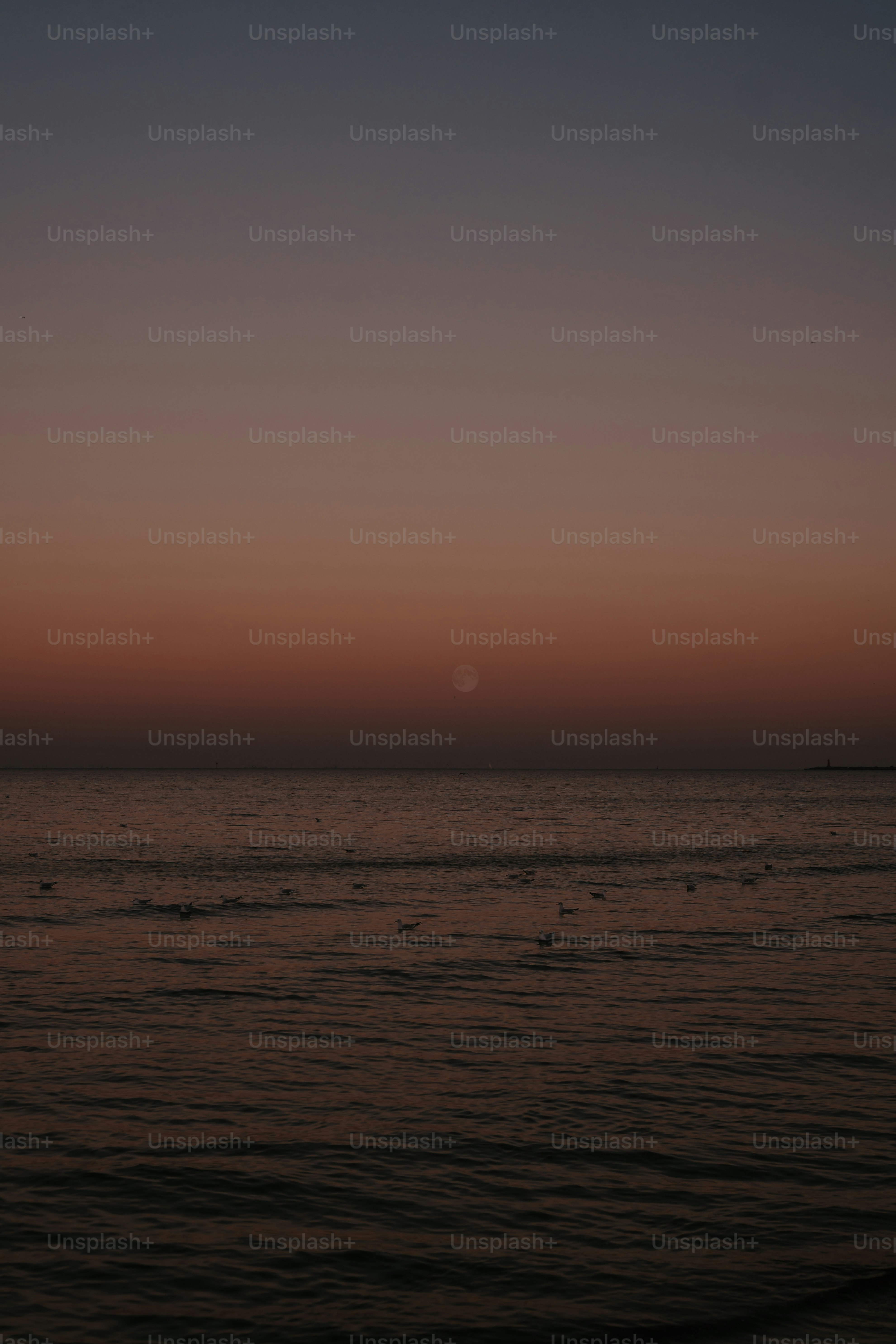 a body of water with a boat in the distance