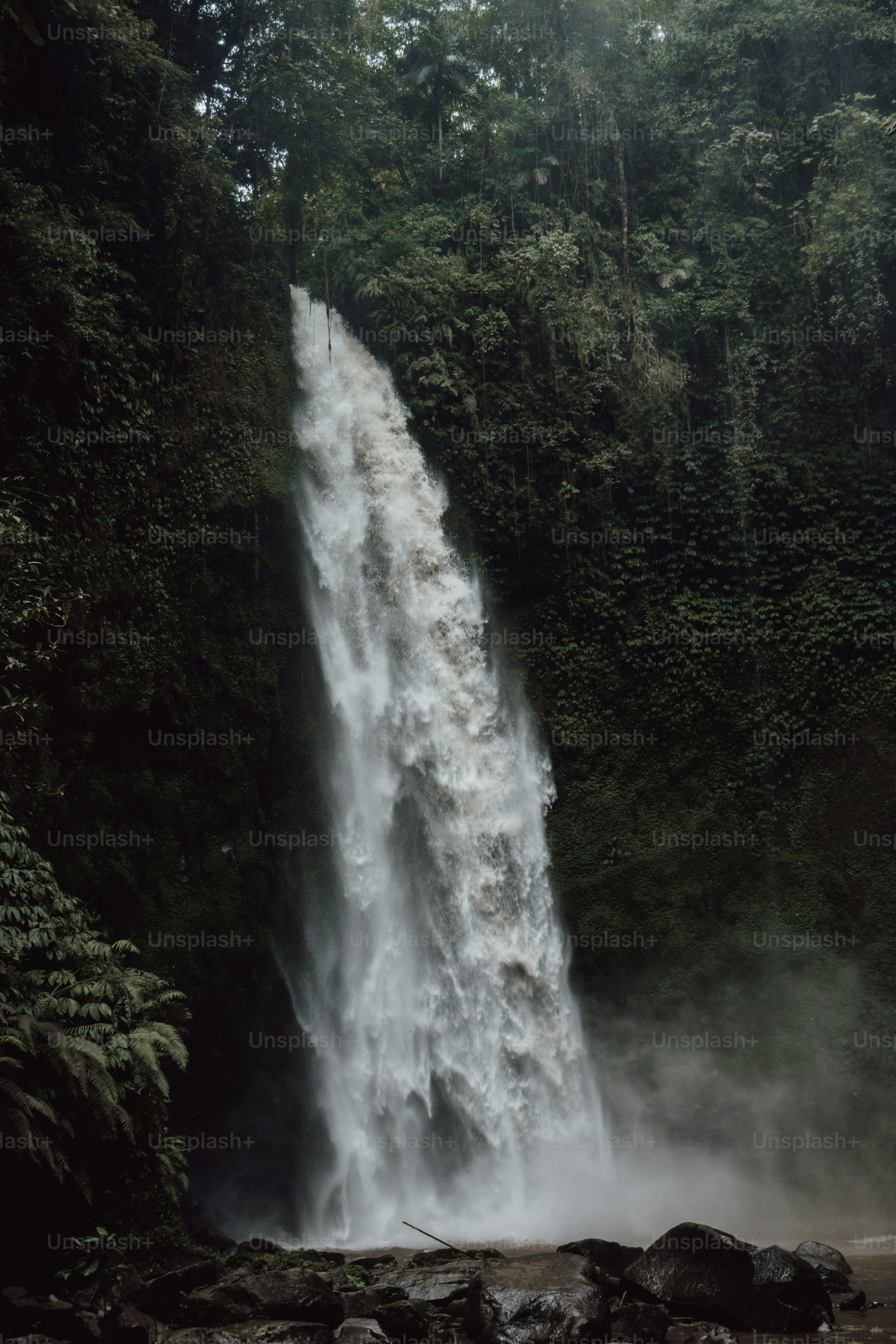 a large waterfall in the middle of a forest