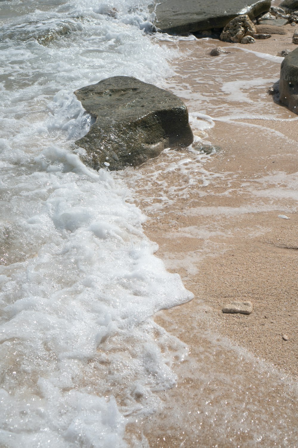 a bird standing on top of a sandy beach next to the ocean