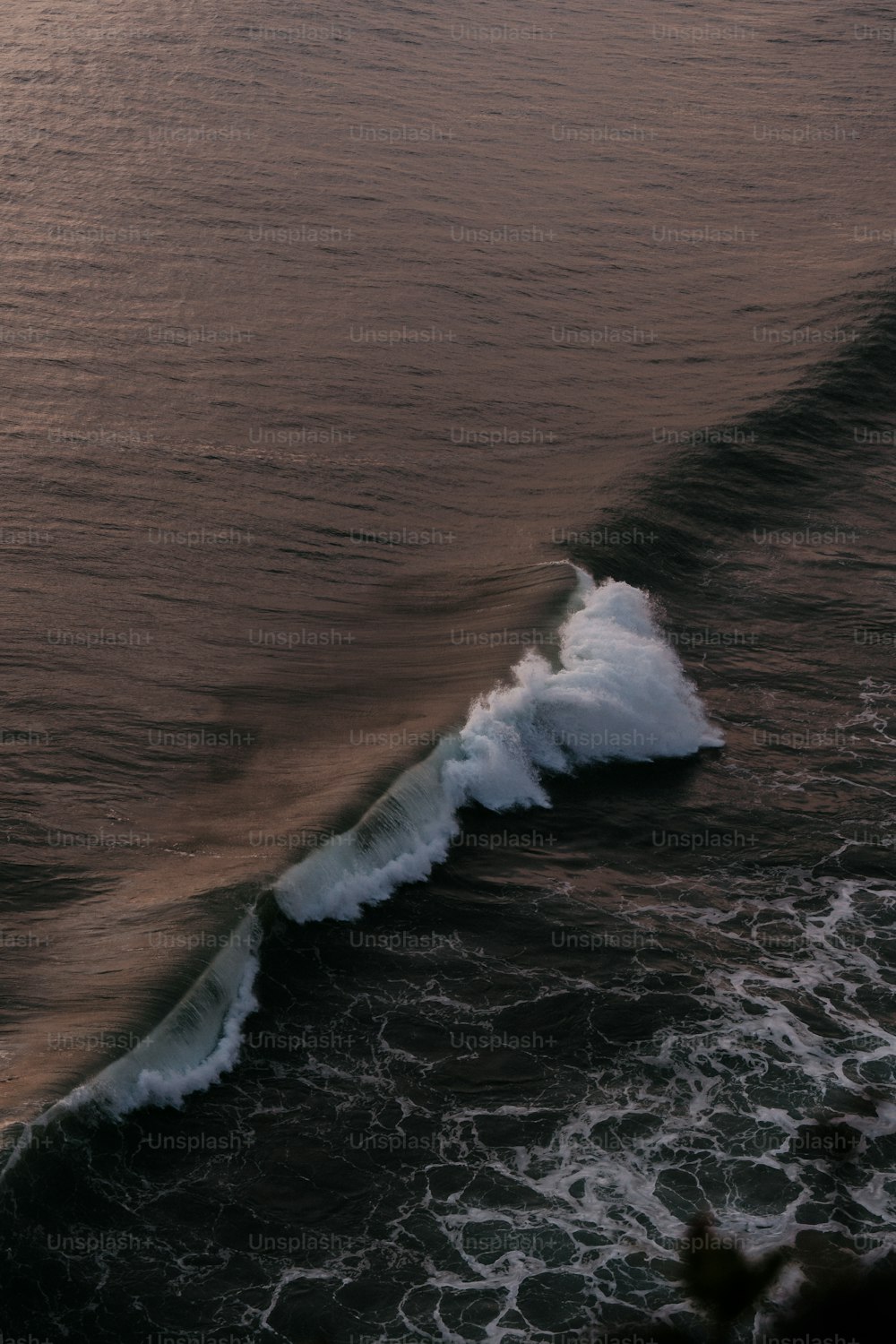 Une vague arrive vers le rivage de l’océan