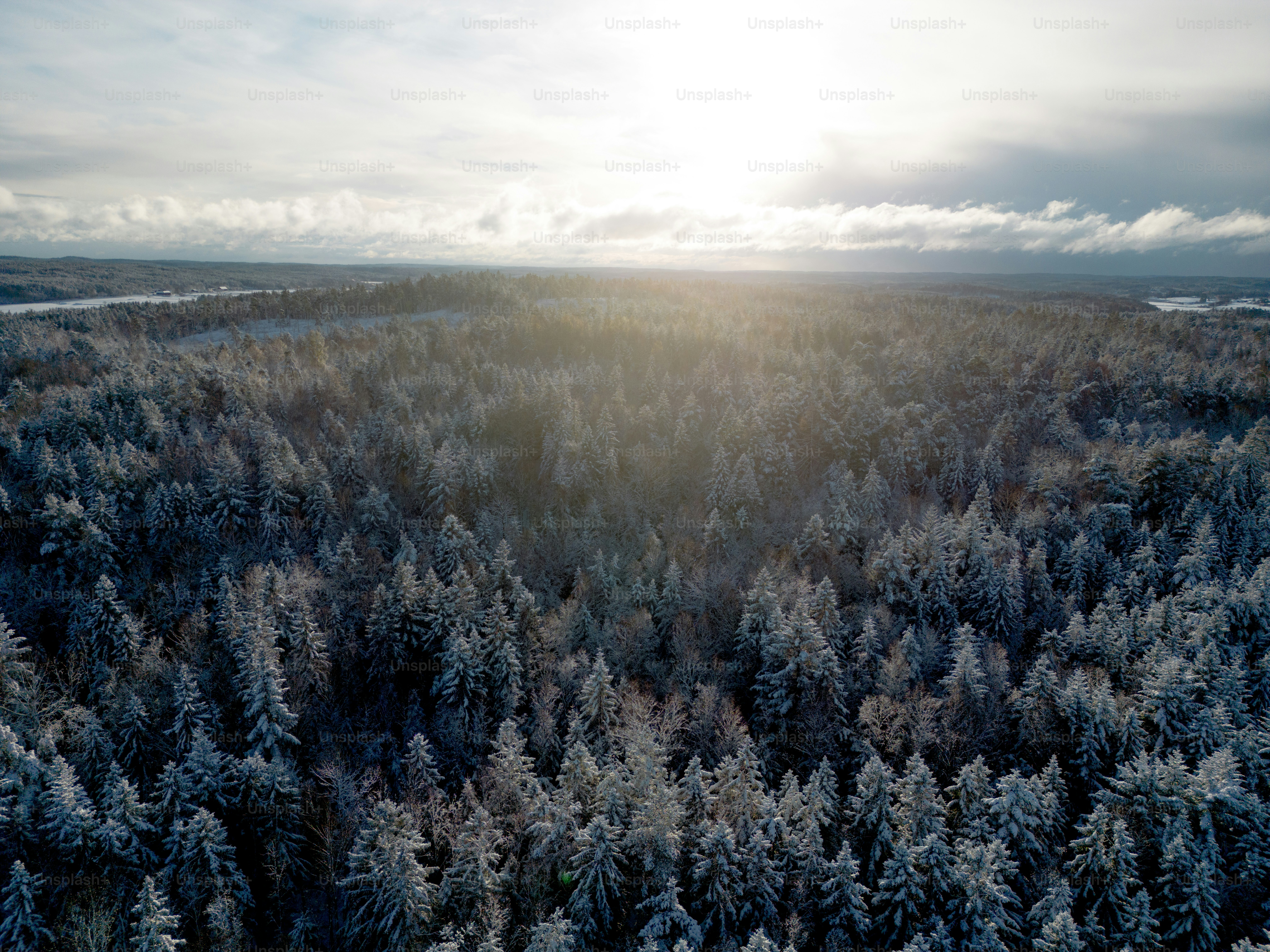 the sun shines through the clouds over a forest