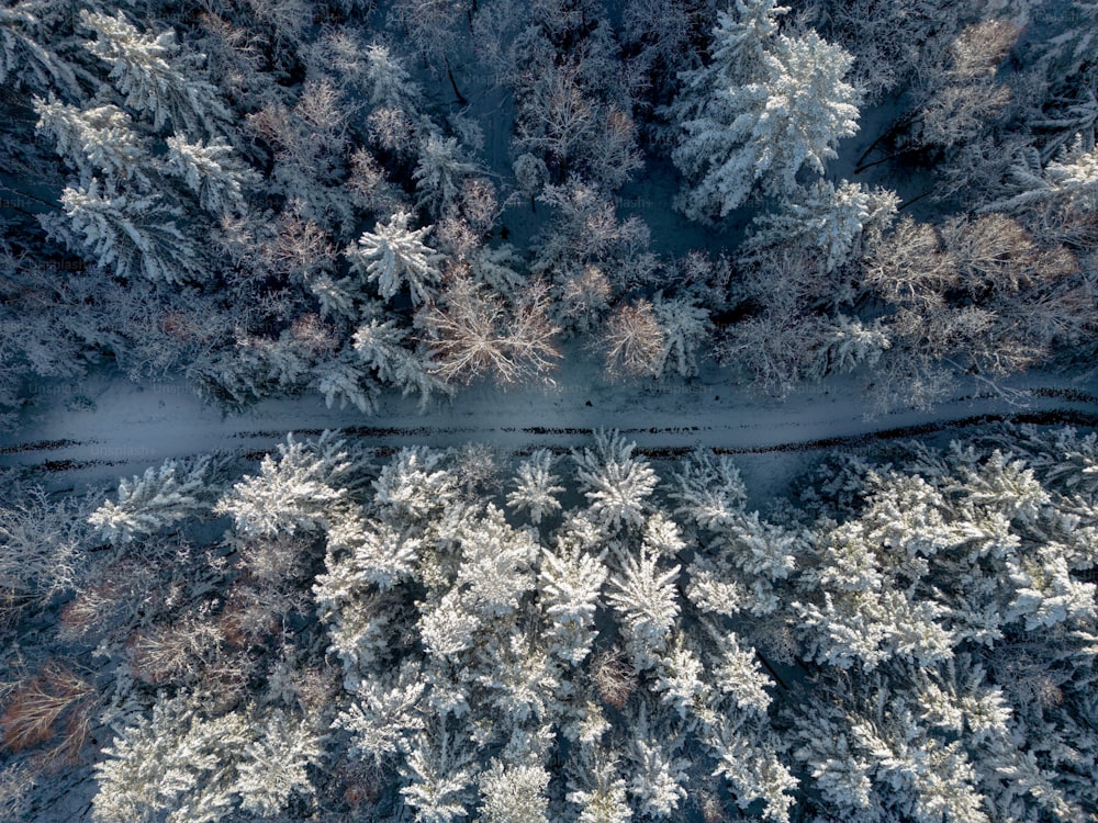 an aerial view of a road surrounded by snow covered trees