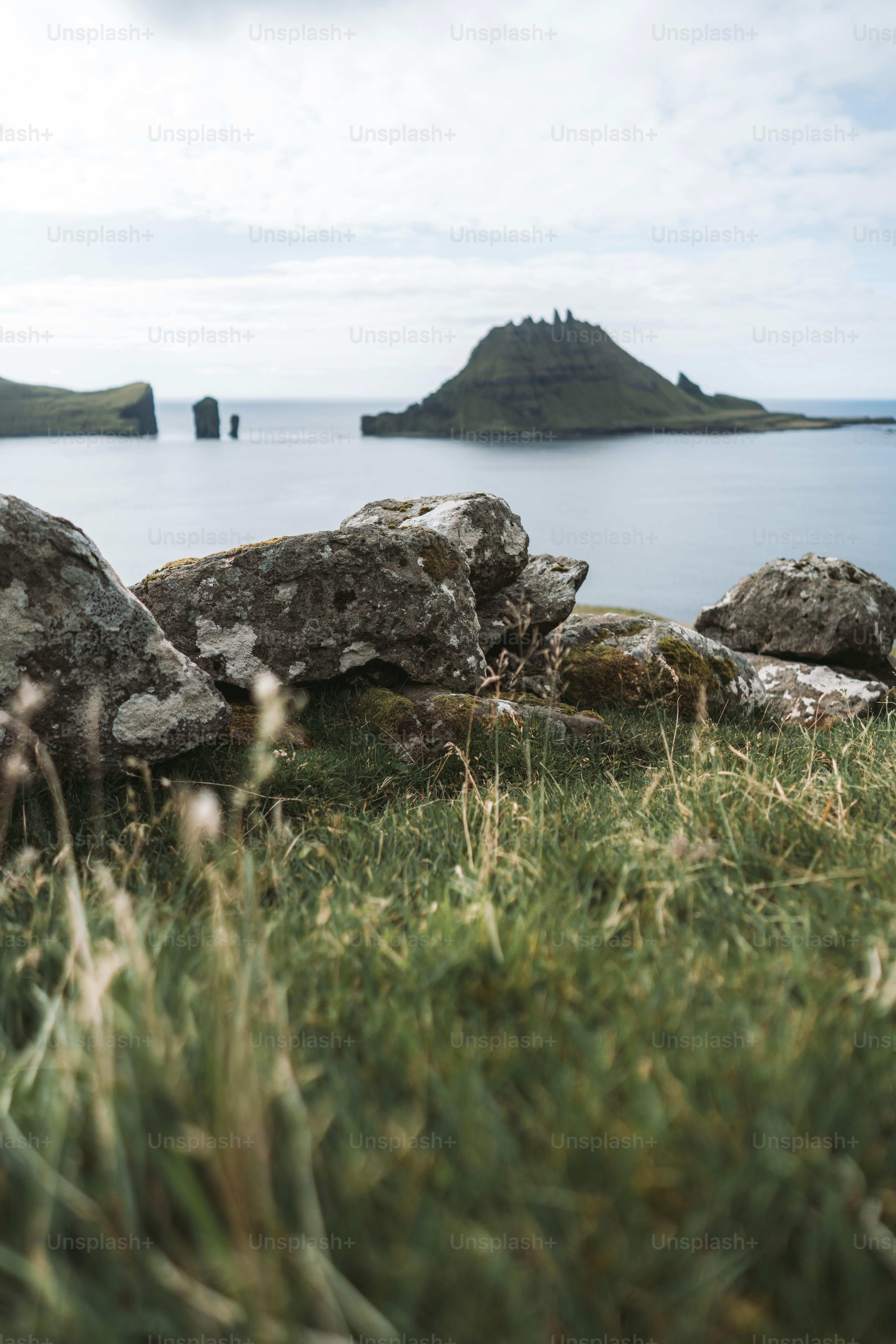 un tas de rochers qui sont dans l’herbe