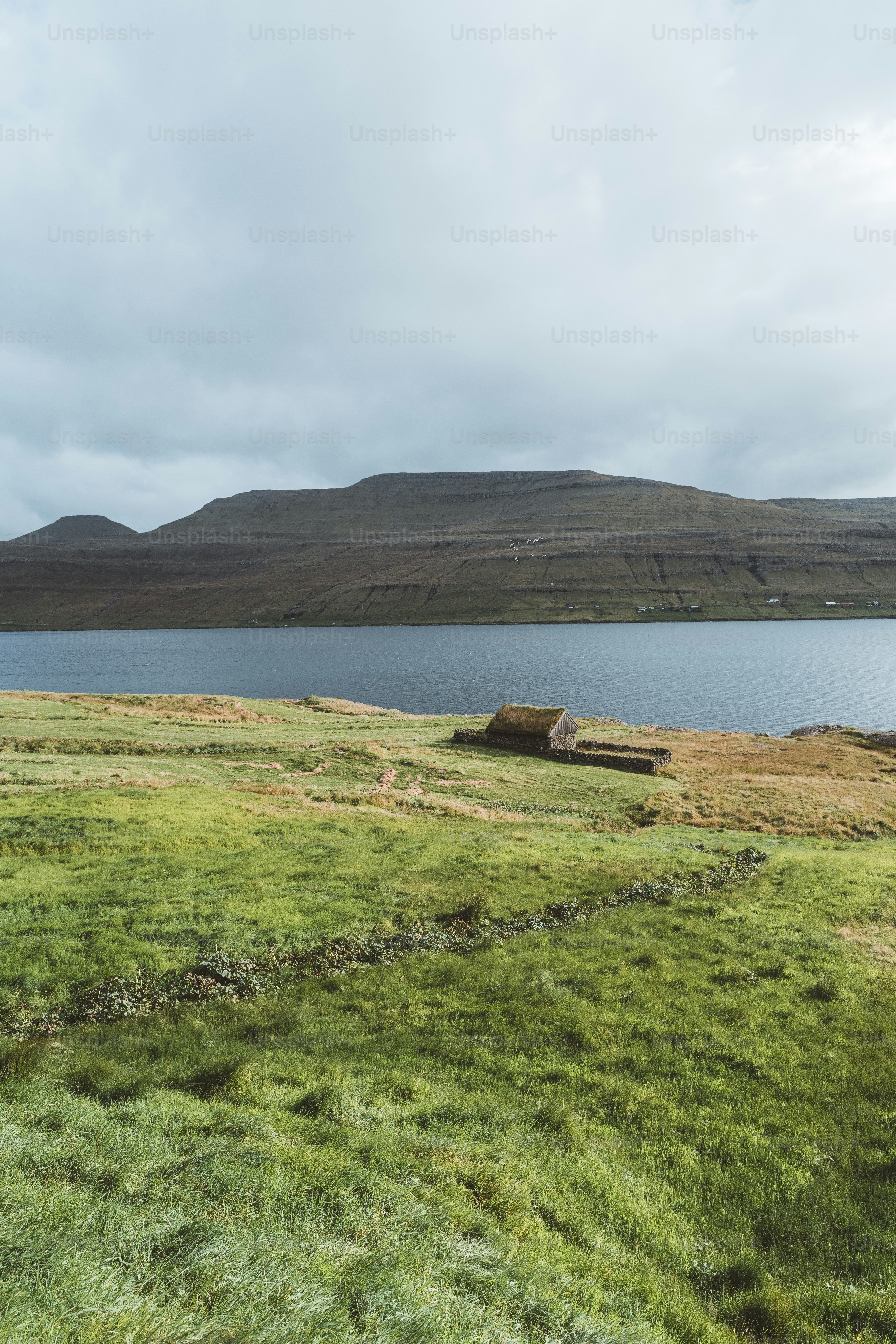 un champ herbeux à côté d’un plan d’eau