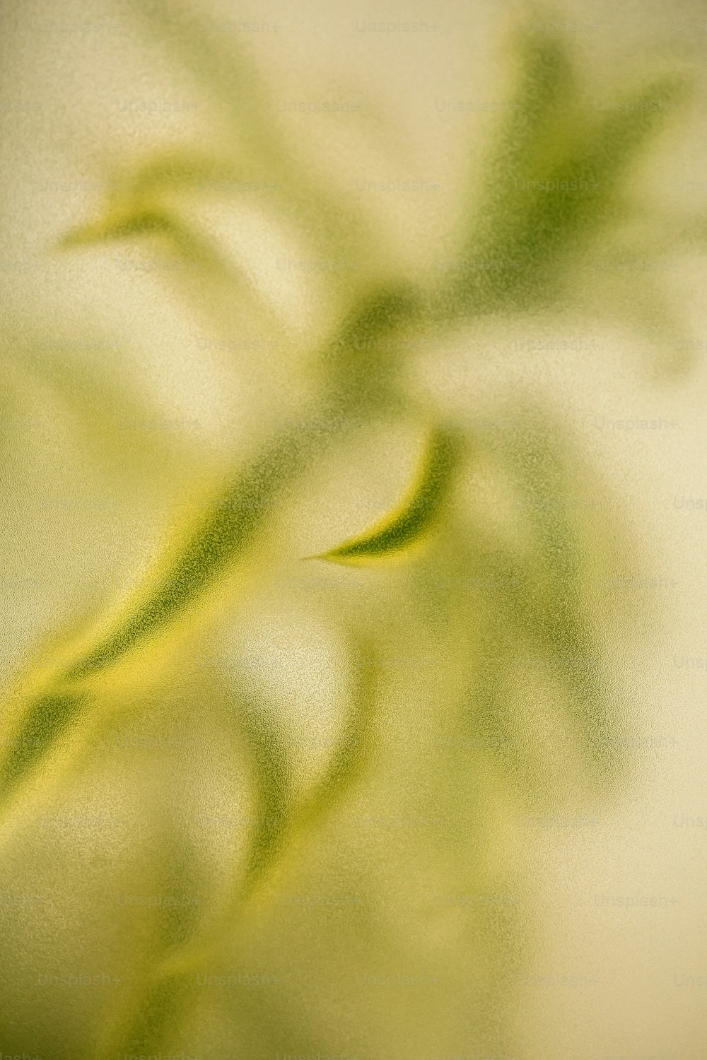uma foto desfocada de uma planta com folhas verdes