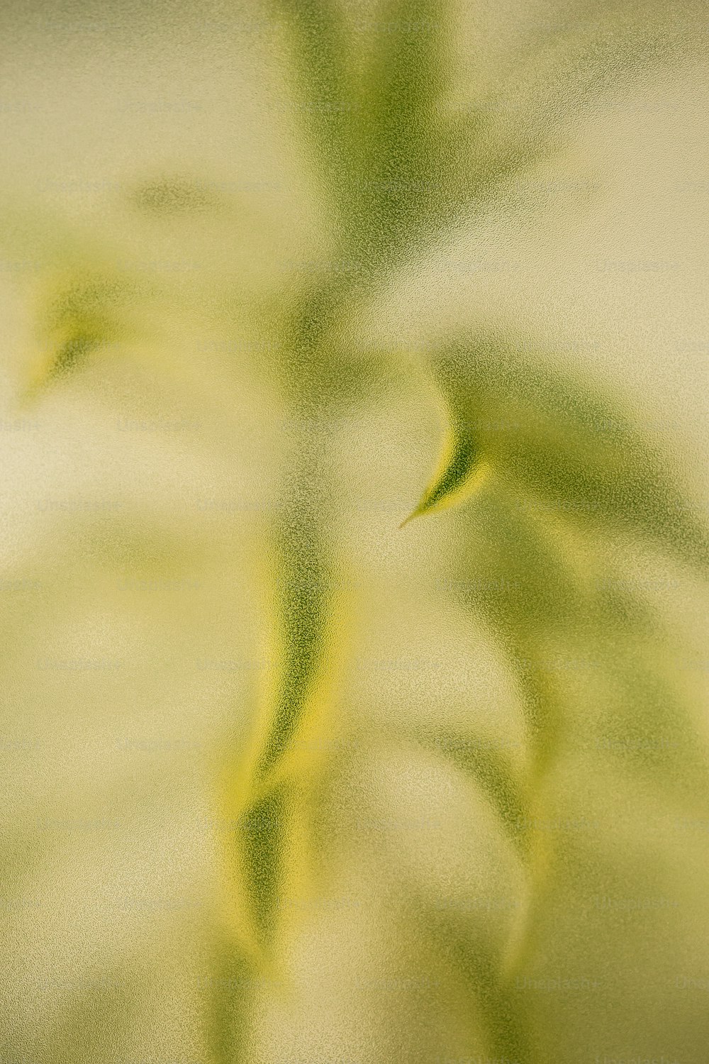 uma foto desfocada de uma planta com folhas verdes