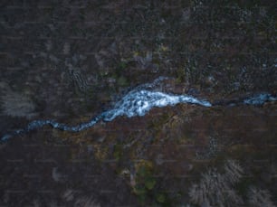 an aerial view of a river running through a forest