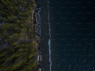 an aerial view of a body of water near a forest