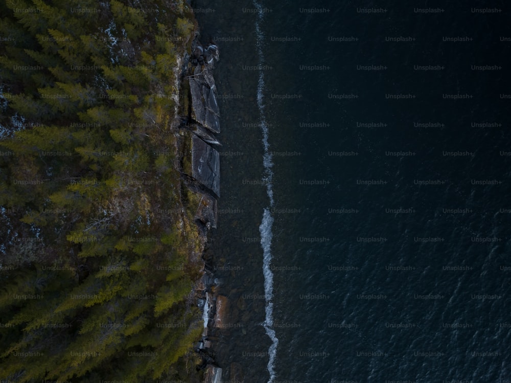 an aerial view of a body of water near a forest