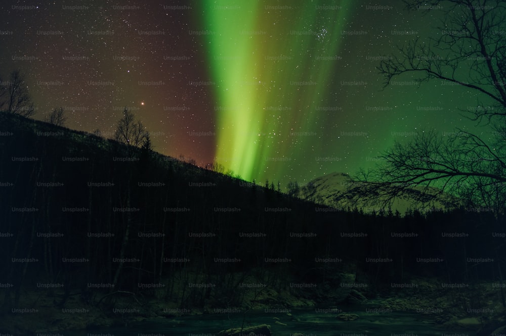 a green and red aurora bore is in the sky