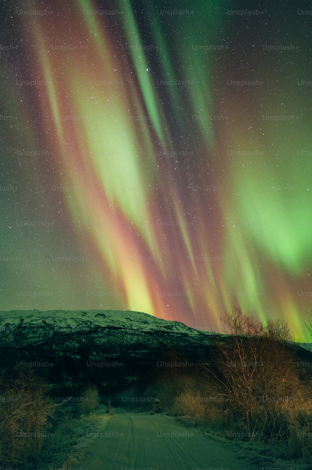 a green and purple aurora bore above a dirt road